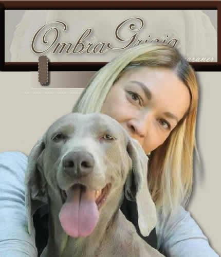 Ombra Grigia Weimaraner - Eleonora Costa