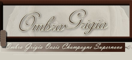 Ombra Grigia Oasis Champagne Supernova